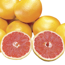 Ray Ruby Grapefruit - Dwarf