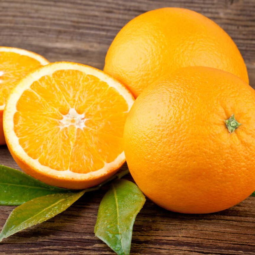 glen-navel-dwarf-brite-leaf-citrus-nursery